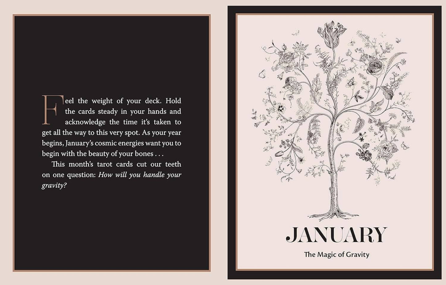 The Tarot Almanac: A Seasonal Guide to Divining