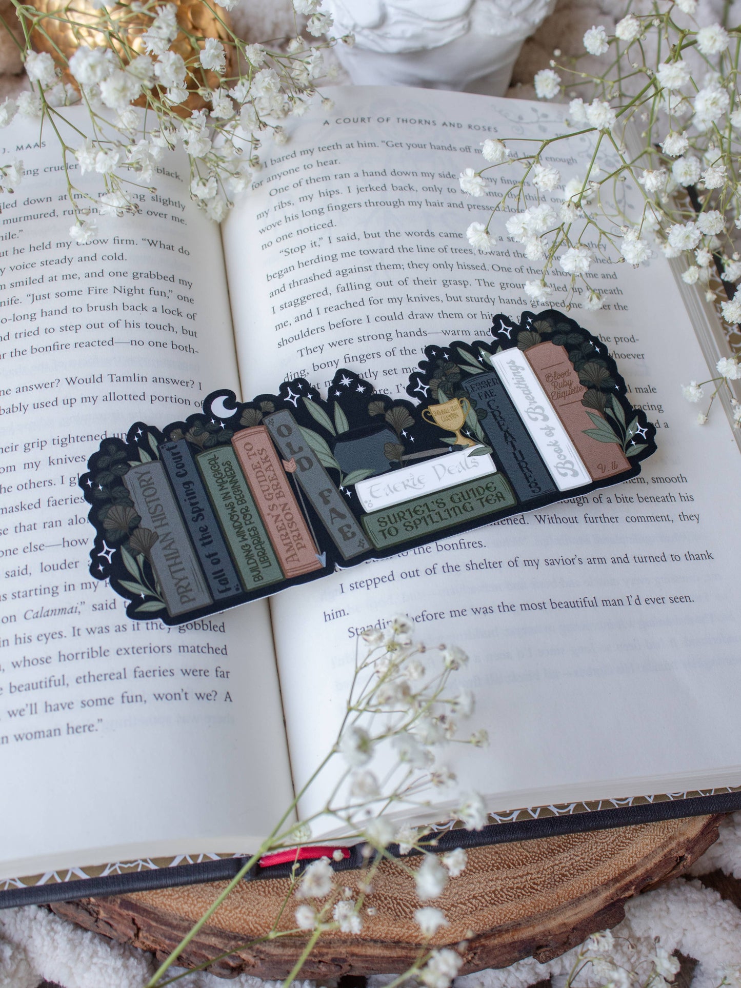 Feyre's Bookshelf ACOTAR Bookmark, A Court of Thorns & Roses