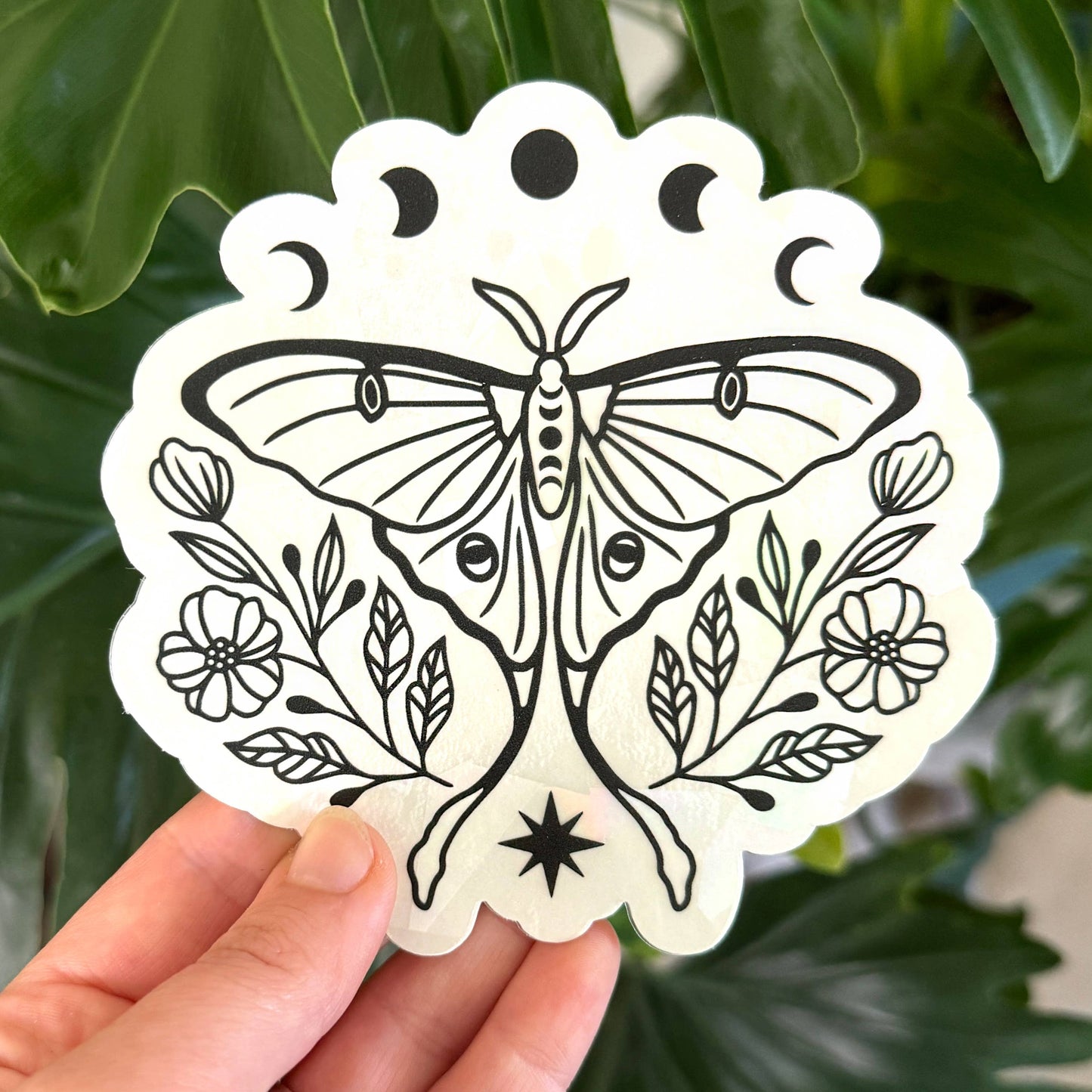 Luna Moth Suncatcher Window Decal