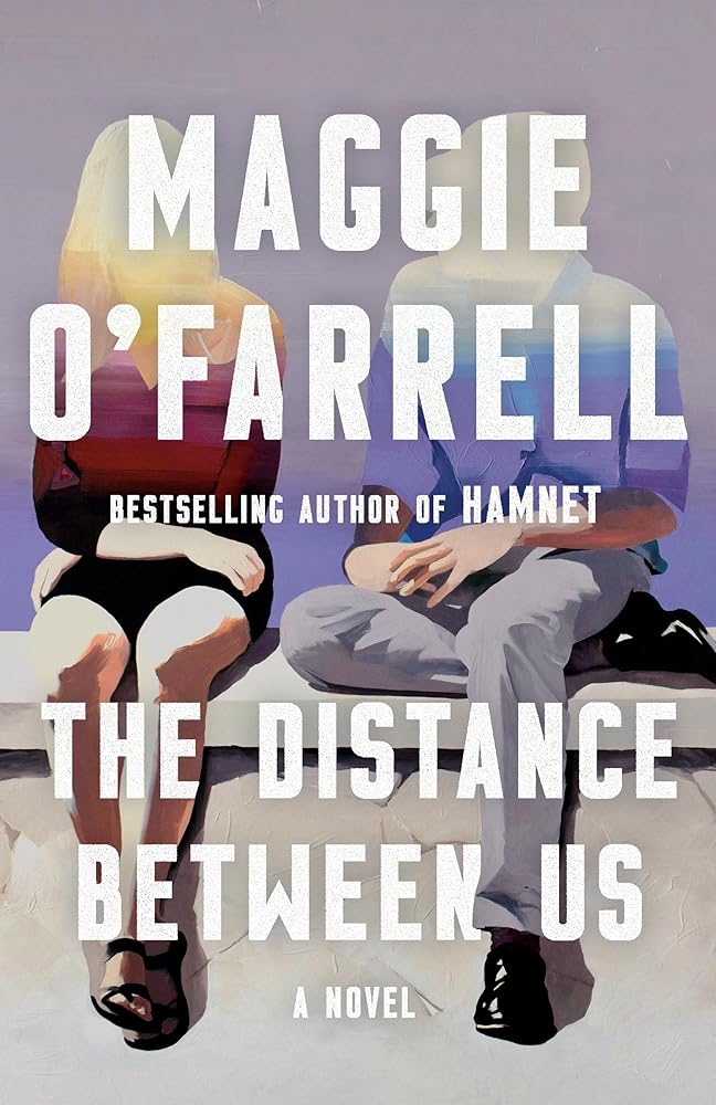 The Distance Between Us: A Novel cover image