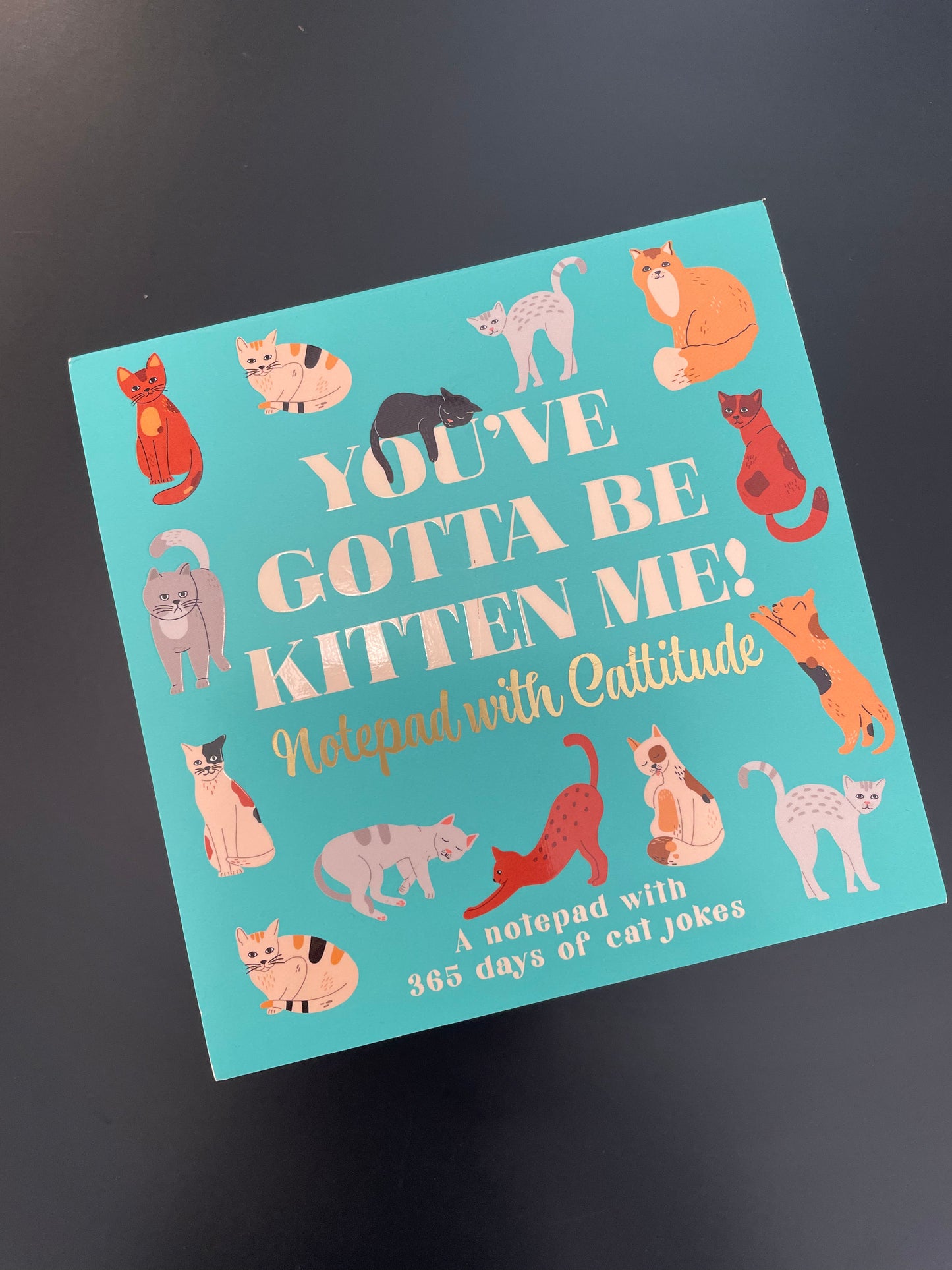 You've Gotta Be Kitten Me! Notepad with Cattitude