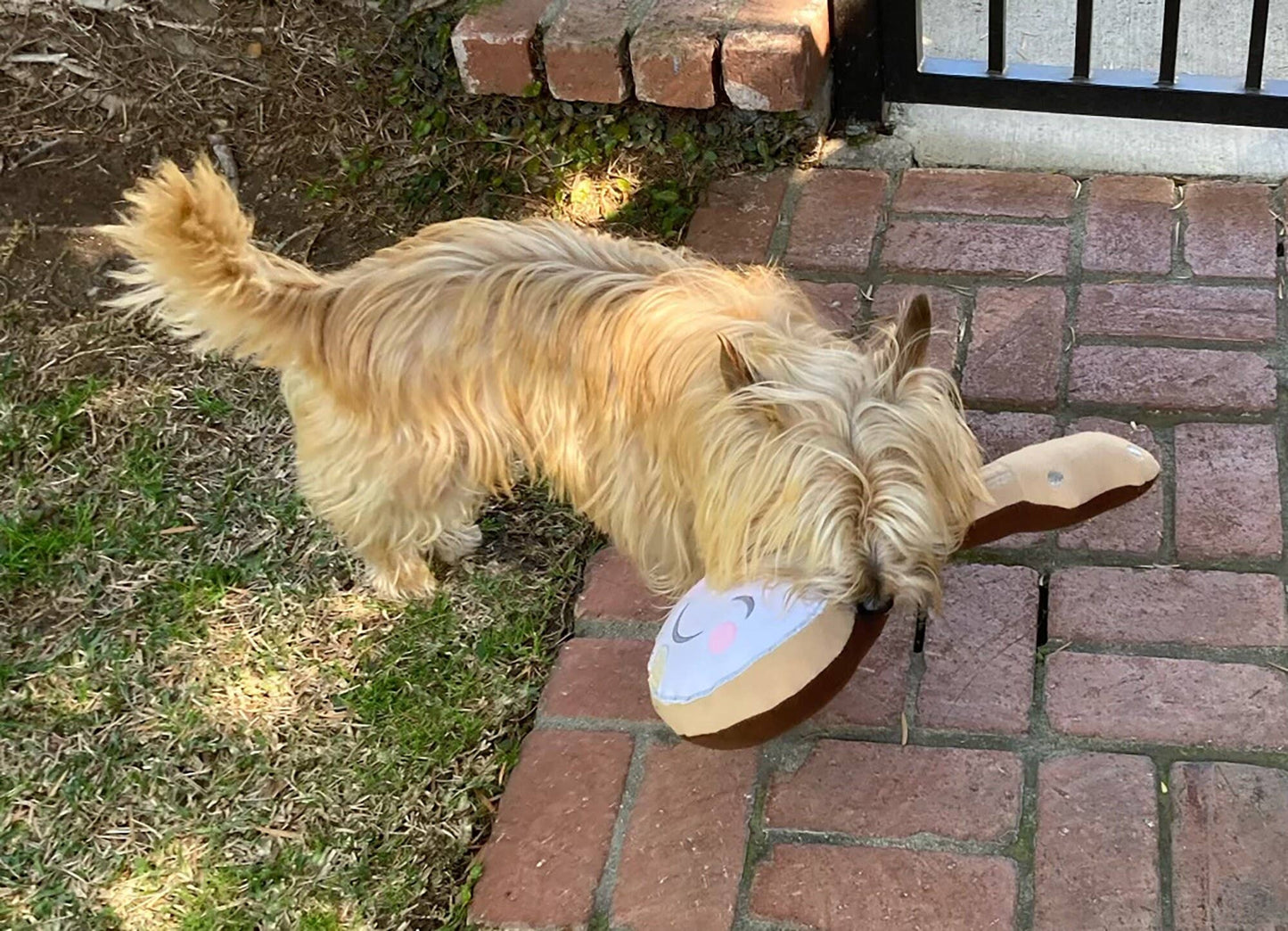 Banjo Plush Toy for Dogs - Handmade Pet Toys