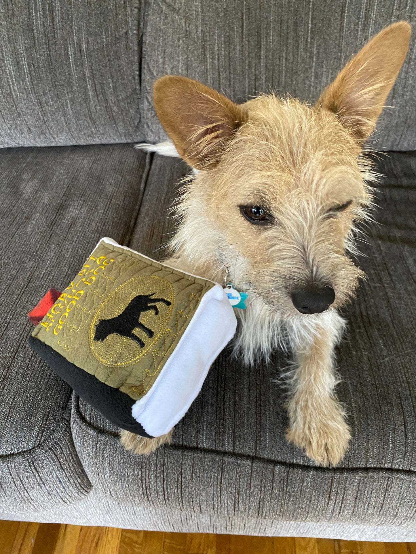 Handmade Squeaker Book Dog/Pet Toy